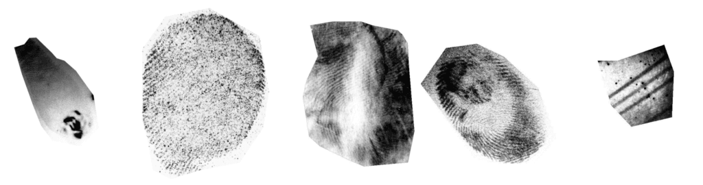 Innovatrics se sitúa entre los mejores proveedores de algoritmos para la identificación de huellas dactilares latentes Innovatrics se sitúa entre los mejores proveedores de algoritmos para la identificación de huellas dactilares latentes