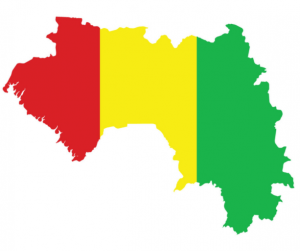 Guiena Flag Guiena Flag