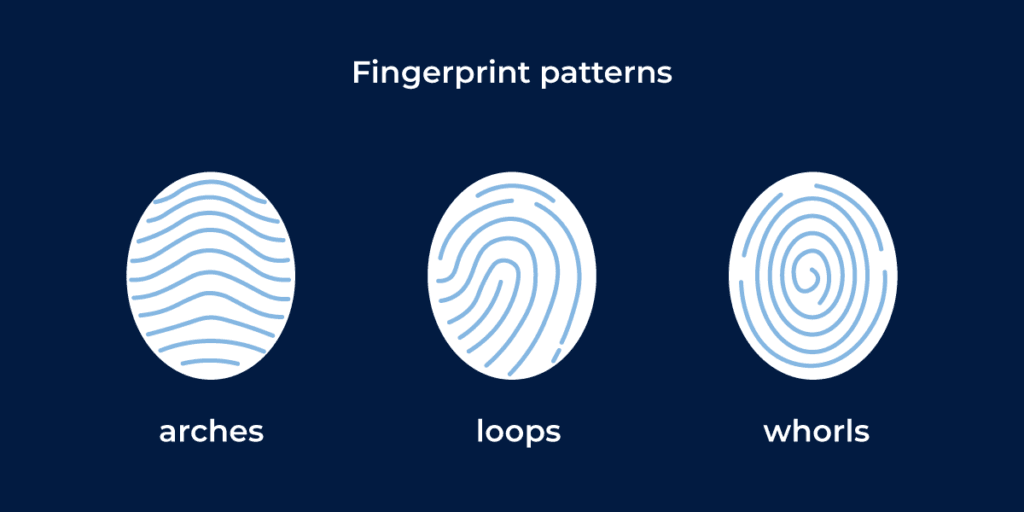 Fingerprint Identification Fingerprint Identification